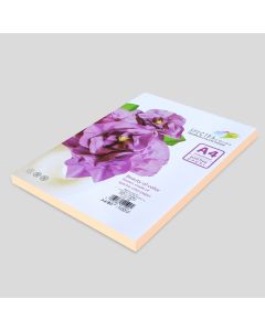 Photocopy Paper Colour Ivory A4 80gsm