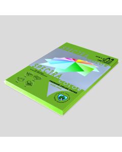 Photocopy Paper Colour Parrot A4 80gsm