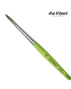 Brush DaVinci 373 - 10