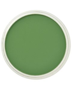 PanPastel - Chromium Oxide Green 660.5