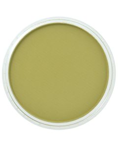 PanPastel - Bright Yellow Green Shade 680.3