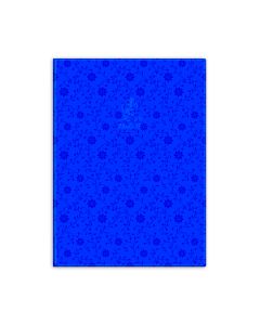 Single Line Book 9x7" Transparent Blue 60/S PVC Falcon