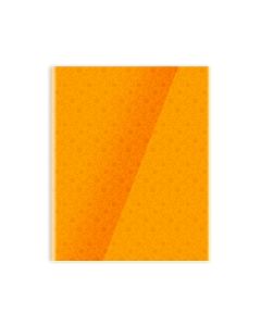 Single Line Book 10x8" Transparent Orange 60/S PVC Falcon
