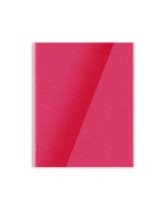 Single Line Book 10x8" Transparent Red 60/S PVC Falcon