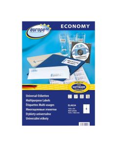 Laser Label 105x148.5mm 100S Avery ELA024