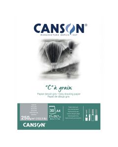 Canson "C Ã Grain A4 250g Mottled Grey Drawing - 400110398