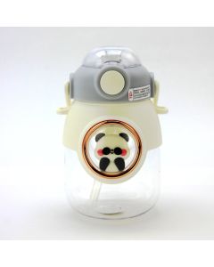 Water Bottle CH9033 Grey