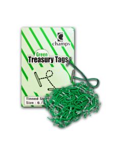 Treasury Tag 6" Pkt/100