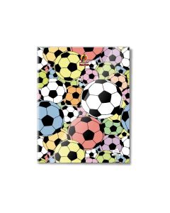 Four Line 100 Sheets NoteBook PVC - 22 X 16 CM - 01