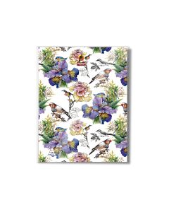 Single Line Notebook 9 x 7 PVC Falcon 80L 24/3