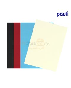 BRISTOL CARD A3 240GSM PAULI