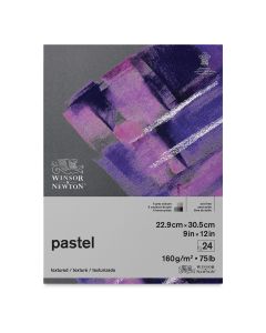 Winsor & Newton Pastel Paper Pads, 9" x 12" - Gray Colors