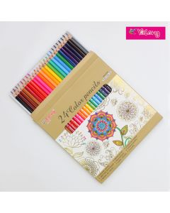 Colour Pencil 24 Colour YL817150