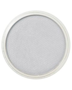 PanPastel - Silver 920.5