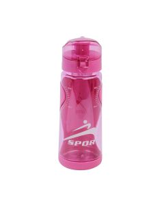 Water Bottle 2023 design 550 ML 1411-4