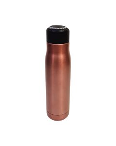 Water Bottle Stainless steel 550ml D1-4 1153