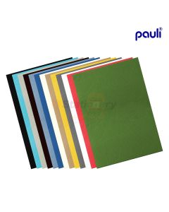 BRISTOL CARD A4 240GSM PAULI