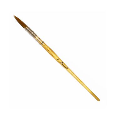 Artist Brush 6620RS Size 12 - Phoenix