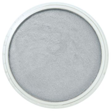 PanPastel - Pewter 921.5