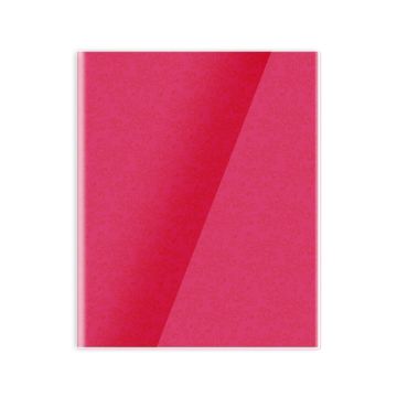 Single Line Book 10x8" Transparent Red 60/S PVC Falcon