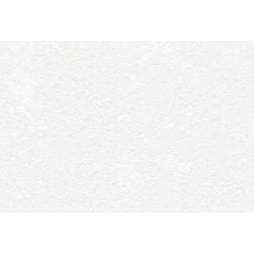 Canson Student Drawing Sheet,- 18 x 24 70 lb. (115 gsm).