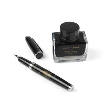 Fountain Pen Deli S168