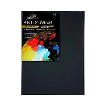 Phoenix Black Primed Canvas 24 x 30 Cm