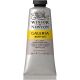 Galeria Acrylic Colours 60ml Pale Umber