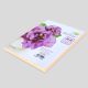 APP100IVP