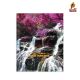 Nature Study 72 Sheets NoteBook H/C - 10x8