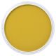 PanPastel - Diarylide Yellow Shade 250.3
