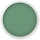 PanPastel - Permanent Green Shade 640.3