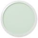 PanPastel - Permanent Green Tint 640.8