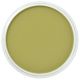 PanPastel - Bright Yellow Green Shade 680.3
