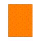 Single Line Book A4 Transparent Orange 100/S PVC Falcon