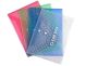 Clear Document Bag A4 310