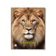Nature Study NoteBook 10x8