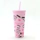 Water Bottle DW Plastic 2024 Tumbler with straw Purple