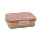 Lunch Boxes 2564 Pink