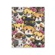 Four line Notebook - 9 x 7 HC- Falcon 100 Sheets -03