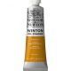 Winton Oil Colors, Raw Sienna 37ml