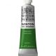 Winton Oil Colors, Terre Verte 37ml