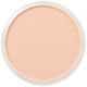 PanPastel - Red Iron Oxide Tint 380.8