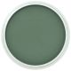 PanPastel - Permanent Green Extra Dark 640.1