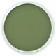 PanPastel - Chromium Oxide Green Shade 660.3