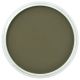 PanPastel - Bright Yellow Green Extra Dark 680.1