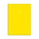 Single Line Book A4 Transparent Yellow 100/S PVC Falcon