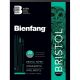 Bienfang White Drawing Bristol Pad - Smooth Surface 9
