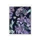 Single Line Notebook 9 x 7 Hard Cover 100L Falcon 24/4