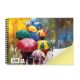 Falcon 01 - A4 Colored Drawing Notebook with 20 Sheets